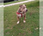 Small #13 Breeder Profile image