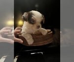 Small #1 Breeder Profile image