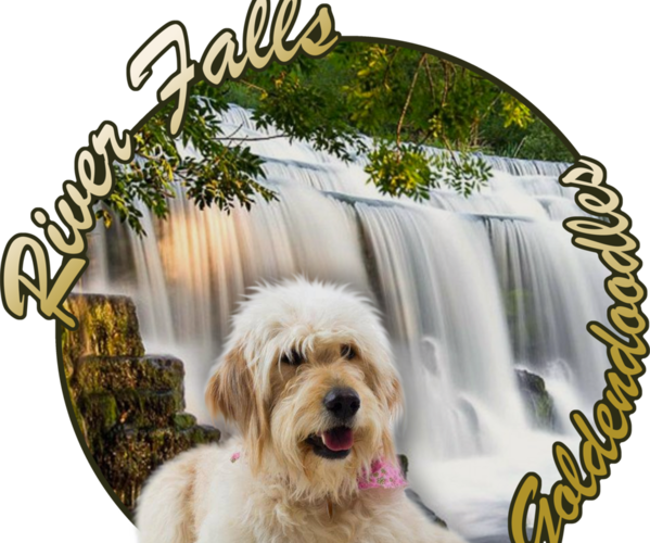 Medium Photo #1  Breeder Profile in EASLEY, SC, USA