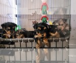 Small #327 Breeder Profile image
