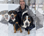 Small #3 Breeder Profile image