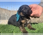Small #58 Breeder Profile image