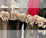 Small #6 Breeder Profile image