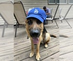 Small #6 Breeder Profile image