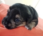 Small #46 Breeder Profile image