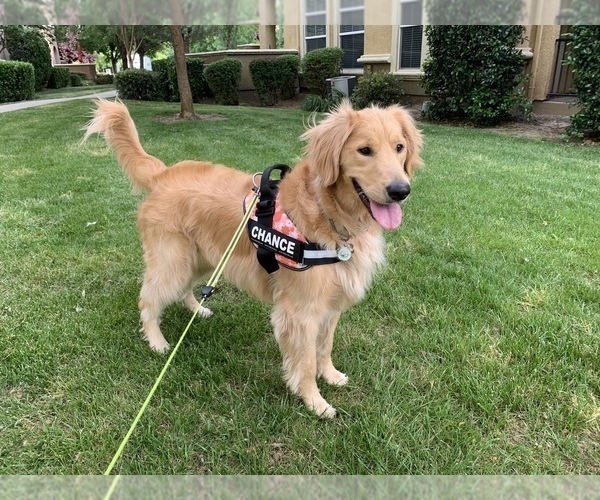 Medium Photo #26  Breeder Profile in BLUE SPRINGS, MO, USA