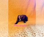 Small #4 Breeder Profile image