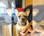 Small #7 Breeder Profile image