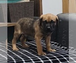 Small #9 Breeder Profile image