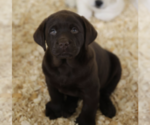 Small #13 Breeder Profile image
