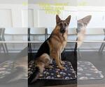 Small #30 Breeder Profile image