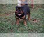 Small #4 Breeder Profile image