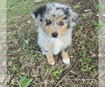 Small #24 Breeder Profile image