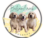 Small breeder photo