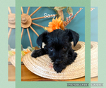 Small #6 Breeder Profile image