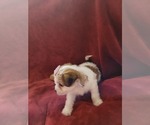 Small #135 Breeder Profile image