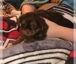 Small #25 Breeder Profile image