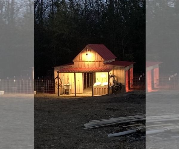 Medium Photo #1  Breeder Profile in ARAGON, GA, USA