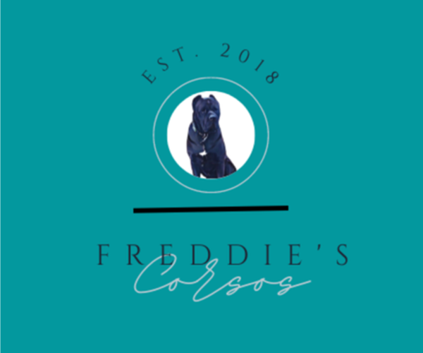 Medium Photo #1  Breeder Profile in BIRMINGHAM, AL, USA