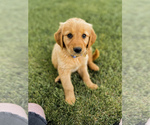 Small #15 Breeder Profile image