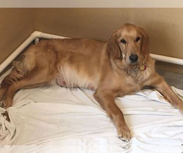Medium Photo #1  Breeder Profile in ANNABELLA, UT, USA