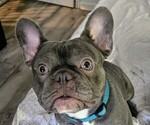 Small #14 Breeder Profile image