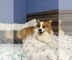 Small #19 Breeder Profile image