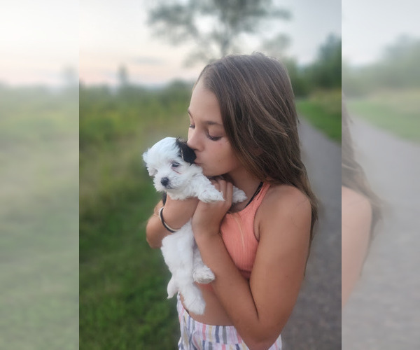 Medium Photo #25  Breeder Profile in FARMINGTON, MN, USA