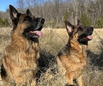 Small #3 Breeder Profile image