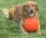 Small #2 Breeder Profile image