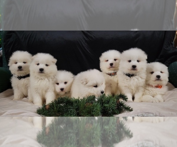 Medium Photo #3  Breeder Profile in UNITY, WI, USA