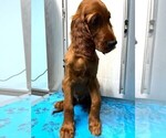 Small #16 Breeder Profile image