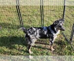 Small #70 Breeder Profile image