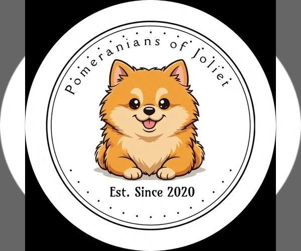 Medium Photo #2  Breeder Profile in JOLIET, IL, USA