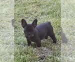 Small #13 Breeder Profile image