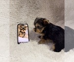 Small #9 Breeder Profile image