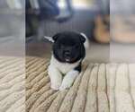 Small breeder photo