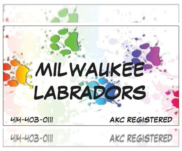 Medium Photo #1  Breeder Profile in MILWAUKEE, WI, USA