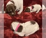 Small #14 Breeder Profile image
