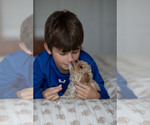 Small #10 Breeder Profile image