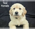 Small #7 Breeder Profile image