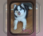 Small #10 Breeder Profile image