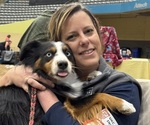Small #40 Breeder Profile image
