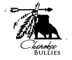 French Bulldog Dog Breeder near CRESTLINE, OH, USA