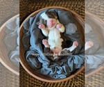 Small #31 Breeder Profile image