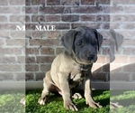 Small #2 Breeder Profile image