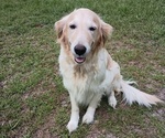 Small #3 Breeder Profile image