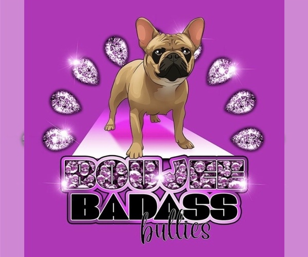 Medium Photo #1  Breeder Profile in GRAND TERRACE, CA, USA