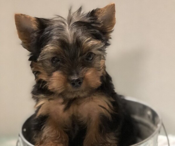 Medium Photo #4  Breeder Profile in PEYTON, CO, USA