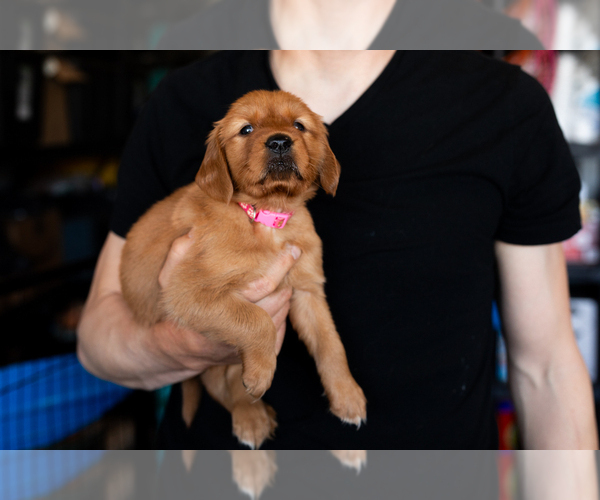 Medium Photo #47  Breeder Profile in CHINO VALLEY, AZ, USA